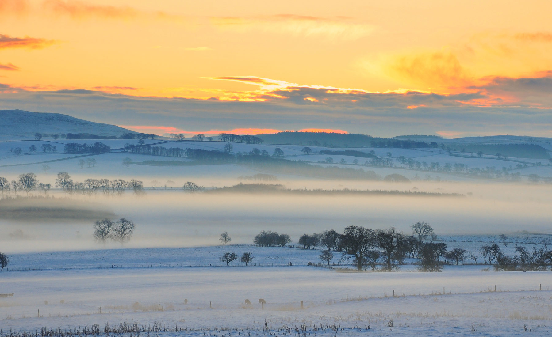a winter view of devon farmland