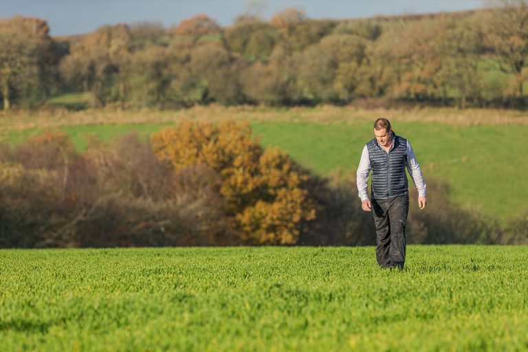 Agronomist Matthew Alford walking the fields at Bycott Farm