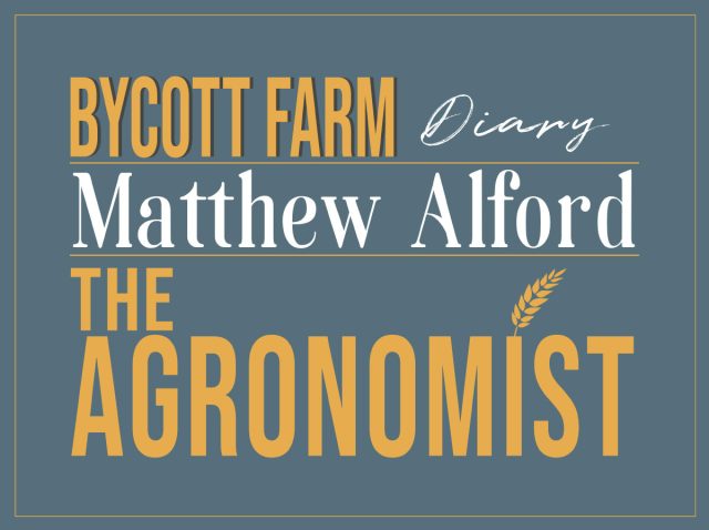 bycott-farm-diary-intro