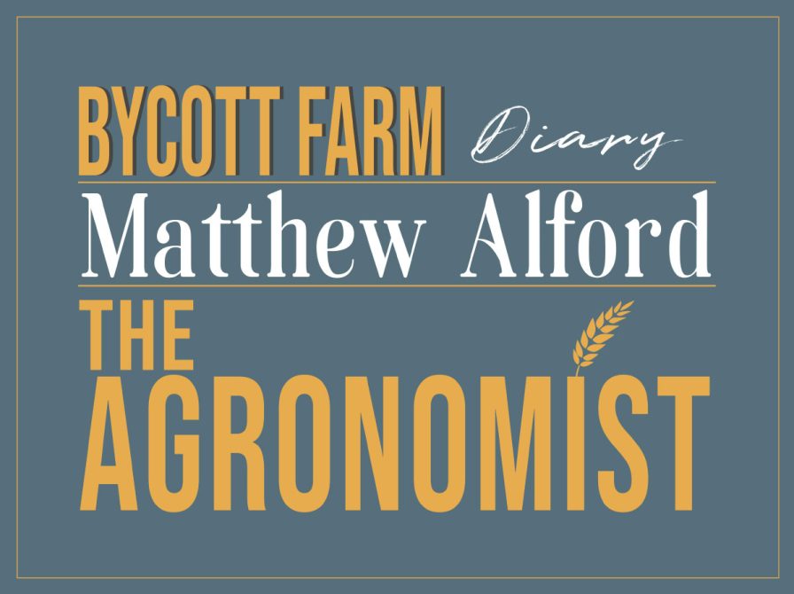 bycott-farm-diary-intro