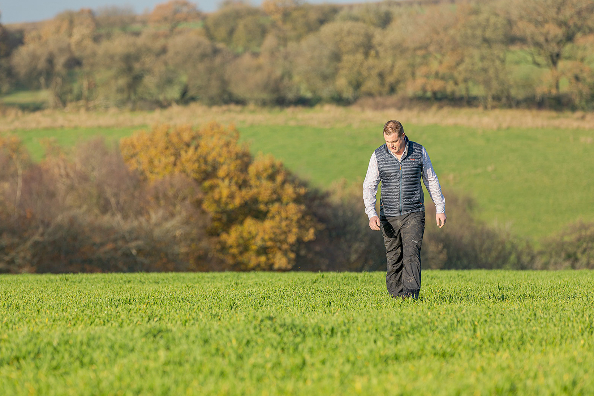 Matthew Alford Bycott Farm Diaries