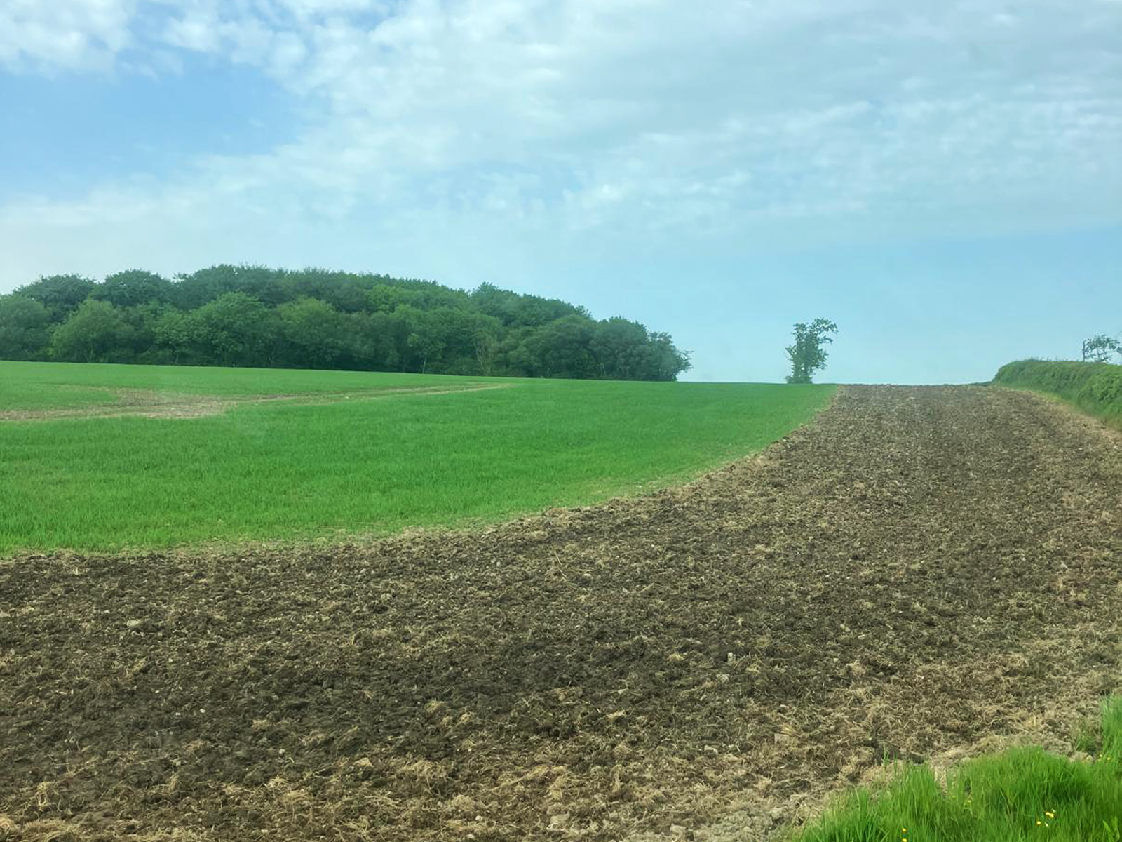 fields at bycott farm
